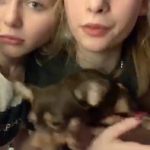 MILKED OF HIS INNOCENCE - Skype Porn