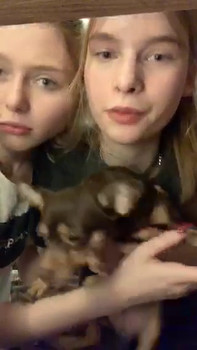 MILKED OF HIS INNOCENCE - Skype Porn